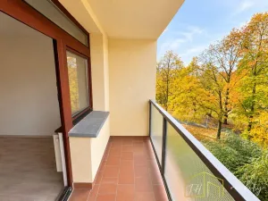 Prodej bytu 1+1, Litvínov - Horní Litvínov, Koldům, 49 m2