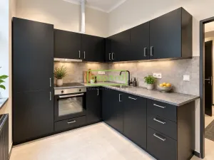 Pronájem bytu 2+kk, Praha - Nusle, Vladimírova, 41 m2
