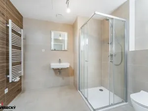Prodej bytu 1+kk, Plzeň, Železná, 38 m2