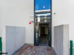 Prodej bytu 1+kk, Plzeň, Železná, 38 m2