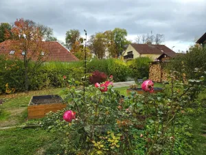 Prodej chalupy, Všemyslice - Neznašov, 140 m2