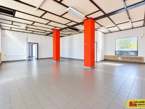 Prodej obchodního prostoru, Boskovice, 247 m2