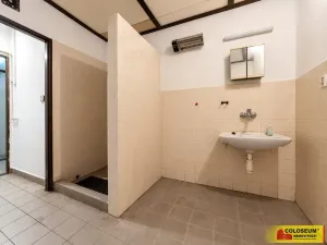 Prodej obchodního prostoru, Boskovice, 247 m2