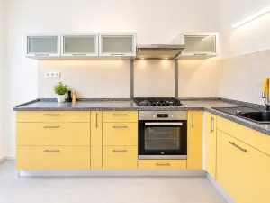 Prodej bytu 2+kk, Brno, 57 m2