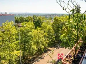 Prodej bytu 3+1, Praha - Břevnov, Bělohorská, 65 m2
