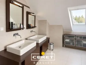 Prodej rodinného domu, Nové Sedlo - Číňov, 500 m2