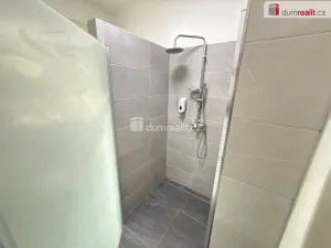 Prodej rodinného domu, Nelahozeves - Lešany, Pod Hájem, 428 m2
