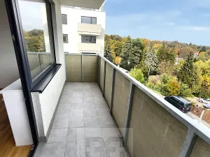 Pronájem bytu 2+kk, Kladno, Lesík, 53 m2