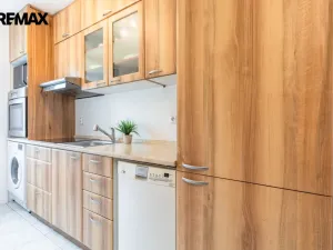 Prodej bytu 3+kk, Litvínov - Horní Litvínov, U Zámeckého parku, 58 m2