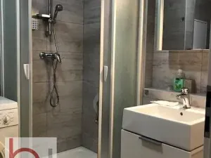 Pronájem bytu 1+kk, České Budějovice, Krčínova, 38 m2