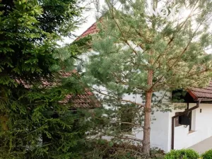 Prodej rodinného domu, Podmokly, 98 m2