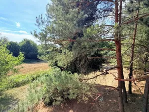 Prodej chalupy, Trnava, 124 m2