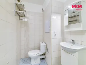 Pronájem bytu 2+1, Františkovy Lázně, Česká, 53 m2