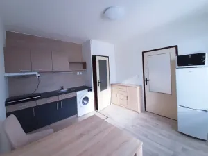 Prodej bytu 1+1, Ústí nad Labem - Všebořice, Zahradní, 33 m2