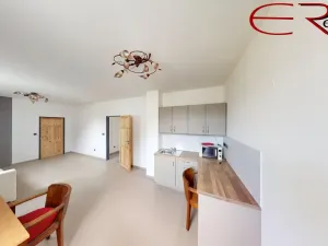Pronájem bytu 3+kk, Jenišovice, 96 m2