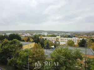 Prodej bytu 2+kk, Most, Albrechtická, 40 m2