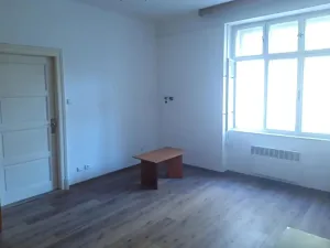 Prodej bytu 1+1, Brno - Ponava, Kartouzská, 43 m2