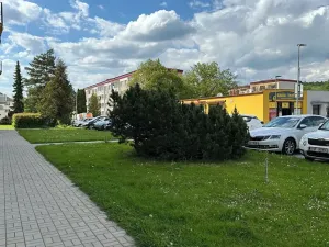 Prodej bytu 2+1, Týnec nad Sázavou, Družstevní, 53 m2