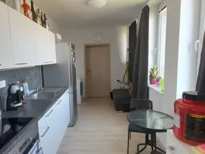Pronájem bytu 2+kk, Olomouc, 17. listopadu, 48 m2