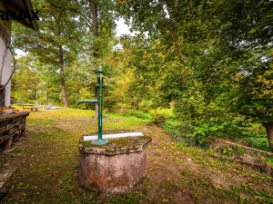 Prodej pozemku pro bydlení, Všemyslice, 4931 m2