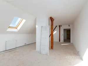 Prodej rodinného domu, Mladý Smolivec, 300 m2