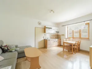 Prodej bytu 2+kk, Ženklava, 55 m2
