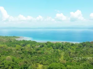 Prodej vily, Puerto Jiménez Canton, Costa Rica, Calle Playa Cañaza, 60 m2