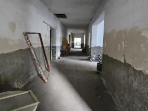 Prodej zemědělského objektu, Velký Šenov, Brtnická, 5391 m2