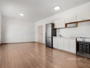 Prodej bytu 1+kk, Praha, Fabiánové, 31 m2