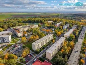 Prodej bytu 2+1, Milovice, Braniborská, 48 m2