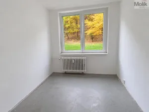 Pronájem bytu 4+1, Litvínov - Janov, Luční, 85 m2