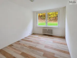 Pronájem bytu 4+1, Litvínov - Janov, Luční, 85 m2