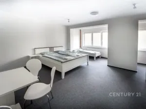 Prodej ubytování, Most, Pod Širokým vrchem, 312 m2