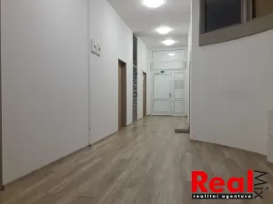 Pronájem kanceláře, Brno - Veveří, Bayerova, 19 m2