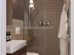 Prodej bytu 1+kk, České Budějovice - České Budějovice 5, Ledenická, 26 m2