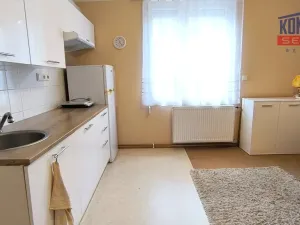 Pronájem rodinného domu, Lišov, Benátky, 32 m2