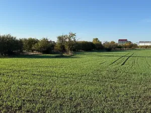 Prodej zahrady, Brno, 6418 m2
