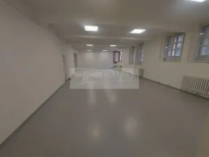 Pronájem obchodního prostoru, Praha, Na Březince, 182 m2