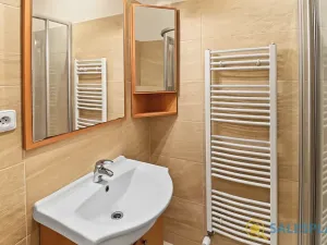 Prodej bytu 2+kk, Praha - Žižkov, Havlíčkovo náměstí, 34 m2