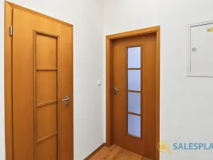 Prodej bytu 2+kk, Praha - Žižkov, Havlíčkovo náměstí, 34 m2