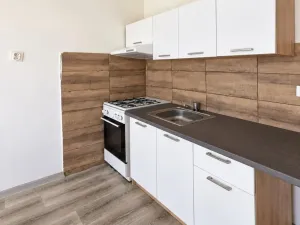 Prodej bytu 1+1, Chomutov, Dřínovská, 35 m2