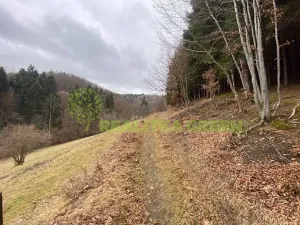 Prodej chaty, Hovězí, 281 m2