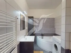 Pronájem bytu 1+kk, Plzeň, U Ježíška, 39 m2