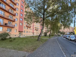 Prodej bytu 1+kk, Havířov, Karolíny Světlé, 22 m2