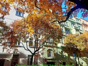 Pronájem bytu 2+kk, Praha - Vinohrady, U Kanálky, 45 m2