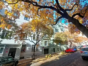 Pronájem bytu 2+kk, Praha - Vinohrady, U Kanálky, 45 m2