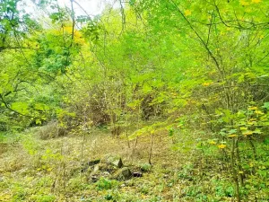 Prodej pozemku pro bydlení, Jílové u Prahy, 881 m2