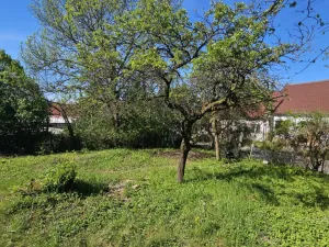 Prodej komerčního pozemku, Popice, 345 m2