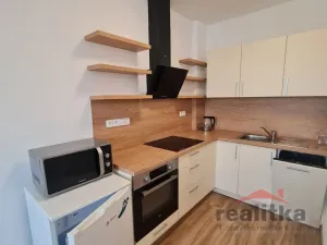 Pronájem bytu 1+kk, Opava - Předměstí, Provaznická, 35 m2