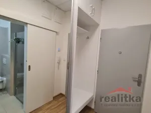 Pronájem bytu 1+kk, Opava - Předměstí, Provaznická, 35 m2